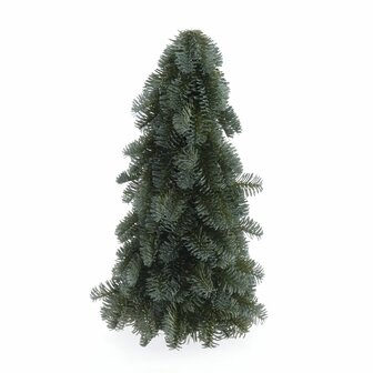 Kerstboom Nobilis Tree H30cm Green