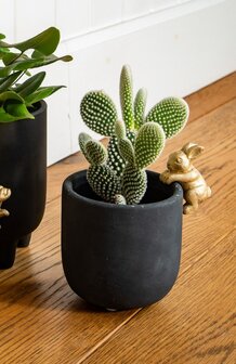 Haasje aan bloempot 11 cm Sass &amp; Belle  Haasje in goudkleur hangend aan een zwarte bloempot.