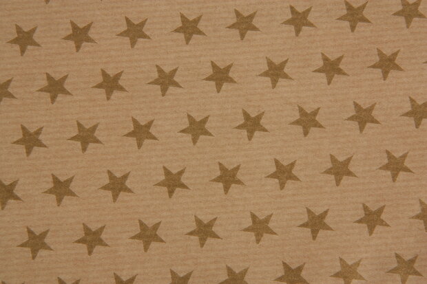 Cadeauzakje Kerst Golden Stars 17.5x21.5cm | per 4 stuks 