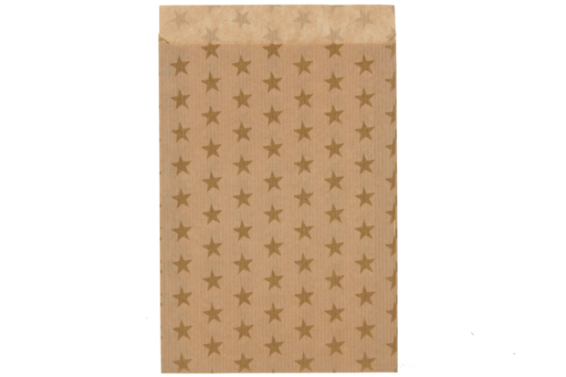 Kerst Cadeauzakje sterren Golden Stars 17.5x21.5cm | per 4 stuks 