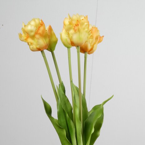 Tulpen Real Touch Parrot x5 L40cm Yellow