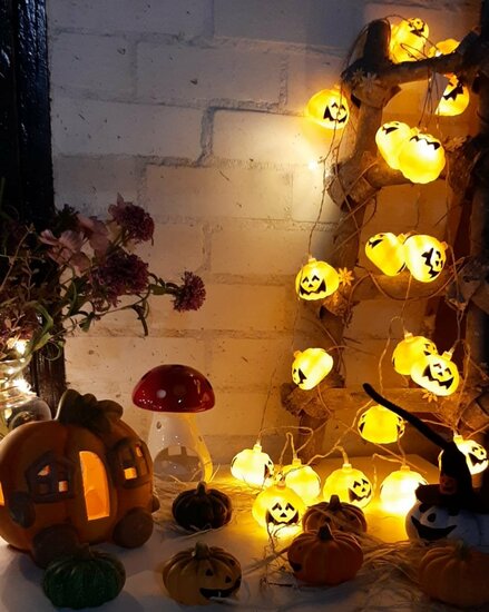 HALLOWEENVERLICHTING POMPOEN 20 LED batt.